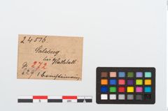 Etikett zu Bernsteinring (NHMW-PRAE-024516)